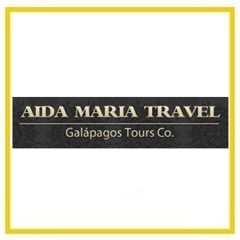 Aida Maria Travel